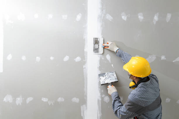 Best Dehumidification Services  in Mulino, OR