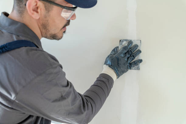 Best Black Mold Removal  in Mulino, OR