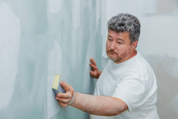 Best Asbestos and Lead Testing During Mold Inspection  in Mulino, OR