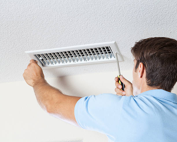 Best Industrial Mold Remediation  in Mulino, OR