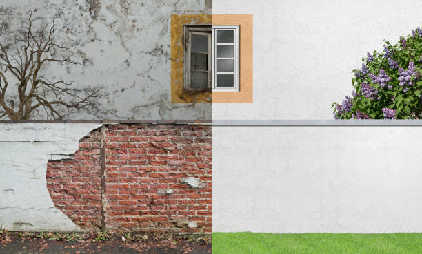 Best Commercial Mold Inspection  in Mulino, OR