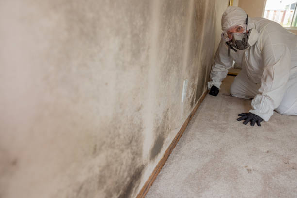Best Airborne Mold Testing  in Mulino, OR