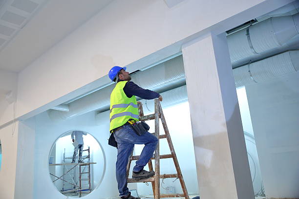 Best Basement Mold Removal  in Mulino, OR